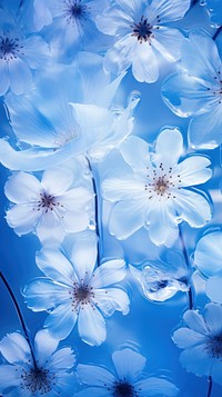 Flowers backgrounds outdoors nature. AI generated Image by rawpixel.
