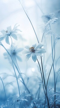 Flowers backgrounds outdoors blossom. AI generated Image by rawpixel.