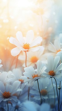 Flowers backgrounds sunlight outdoors. AI generated Image by rawpixel.