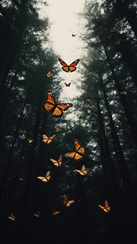 Monarch butterflies forest butterfly wildlife. AI generated Image by rawpixel.