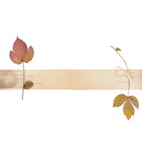 Autumn plant leaf white background. AI generated Image by rawpixel.