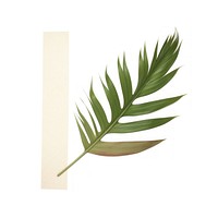 Minimal adhesive tape is stuck on the Tropical leaves plant leaf art. 