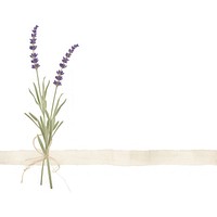 Minimal lavender bouque flower plant white background. AI generated Image by rawpixel.