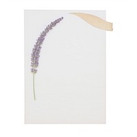 Moon with tape lavender flower plant. AI generated Image by rawpixel.