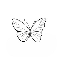 Butterfly drawing sketch white. 