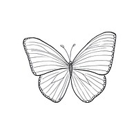 Butterfly drawing sketch white. AI generated Image by rawpixel.
