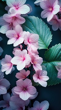 Floral and botanical flower leaf outdoors. 