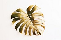 Monstera backgound plant leaf white background. AI generated Image by rawpixel.