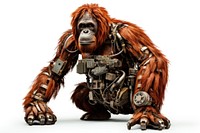 Cyborg orangutan monkey mammal animal. AI generated Image by rawpixel.