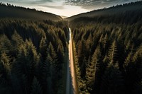 Forest road outdoors woodland nature. AI generated Image by rawpixel.