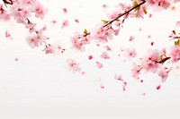 Cherry blossom outdoors flower plant. AI generated Image by rawpixel.