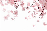 Cherry blossom flower plant petal. AI generated Image by rawpixel.