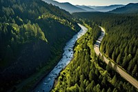 Pine tree mountain road nature river outdoors. AI generated Image by rawpixel.