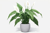 Peace lily flower plant leaf. AI generated Image by rawpixel.