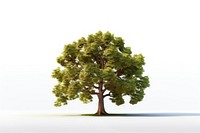 Oak tree plant white background tranquility. AI generated Image by rawpixel.