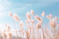 Aesthetic nature grass sky. AI generated Image by rawpixel.