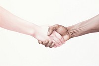 Holding hands handshake white background togetherness. AI generated Image by rawpixel.