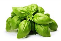 Fresh basil vegetable plant herbs. AI generated Image by rawpixel.