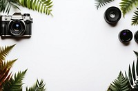 Photography camera plant leaf. AI generated Image by rawpixel.