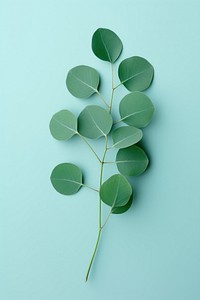 Spiral Eucalyptus Branch branch plant herbs. AI generated Image by rawpixel.