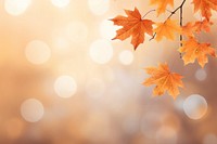 Orangey brown maple backgrounds sunlight outdoors. AI generated Image by rawpixel.