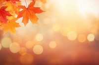 Red and yellow maple leaves backgrounds sunlight outdoors. AI generated Image by rawpixel.