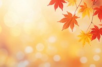 Soft focus light backgrounds sunlight autumn. AI generated Image by rawpixel.