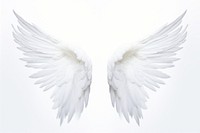 Pair of angel wings white bird white background. AI generated Image by rawpixel.
