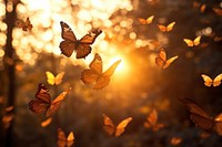 Flying butterlies butterfly sunlight outdoors. AI generated Image by rawpixel.