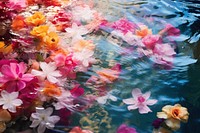 Flower petal backgrounds floating outdoors. AI generated Image by rawpixel.