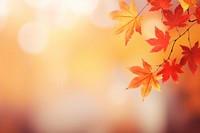 Red and yellow maple leaves autumn backgrounds plant. AI generated Image by rawpixel.