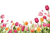 Tulips flowers and leaves outdoors nature petal. AI generated Image by rawpixel.