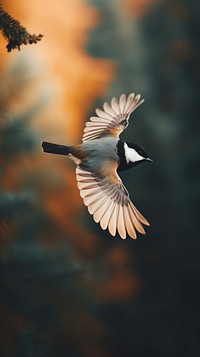 Bird flying over the forest outdoors animal nature. AI generated Image by rawpixel.