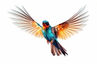 Flying bird hummingbird animal white background. AI generated Image by rawpixel.