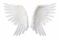Pair of white angel wing bird white background archangel. AI generated Image by rawpixel.
