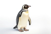 Penguin bird animal white background wildlife. AI generated Image by rawpixel.