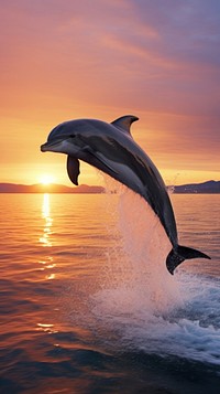 Dolphin breaching in ocean nature outdoors animal. AI generated Image by rawpixel.