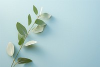 Eucalyptus nature plant leaf. AI generated Image by rawpixel.