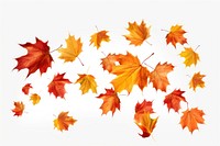 Autumn leaves falling maple plant. AI generated Image by rawpixel.