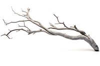 Grey dry branch driftwood white background tranquility. AI generated Image by rawpixel.