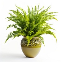 Boston fern in pot plant white background houseplant. AI generated Image by rawpixel.