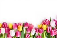 Tulips flowers and leaves outdoors petal plant. AI generated Image by rawpixel.