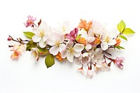 Spring flowers blossom petal plant. AI generated Image by rawpixel.