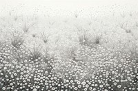 White colors field of flowers landscapes backgrounds outdoors nature. AI generated Image by rawpixel.