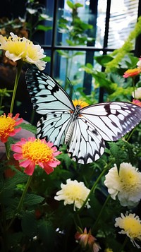 A butterfly on a spring flower outdoors nature animal. AI generated Image by rawpixel.