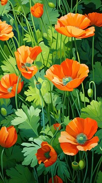 Orange spring flowers backgrounds plant poppy. AI generated Image by rawpixel.