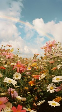 A flower field with a rainbow landscape outdoors blossom. AI generated Image by rawpixel.