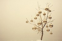 Christmas winter nature plant. AI generated Image by rawpixel.