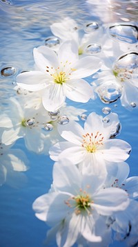 Spring flower floating nature reflection outdoors. AI generated Image by rawpixel.