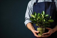 Gardener holding plant gardening adult leaf. AI generated Image by rawpixel.